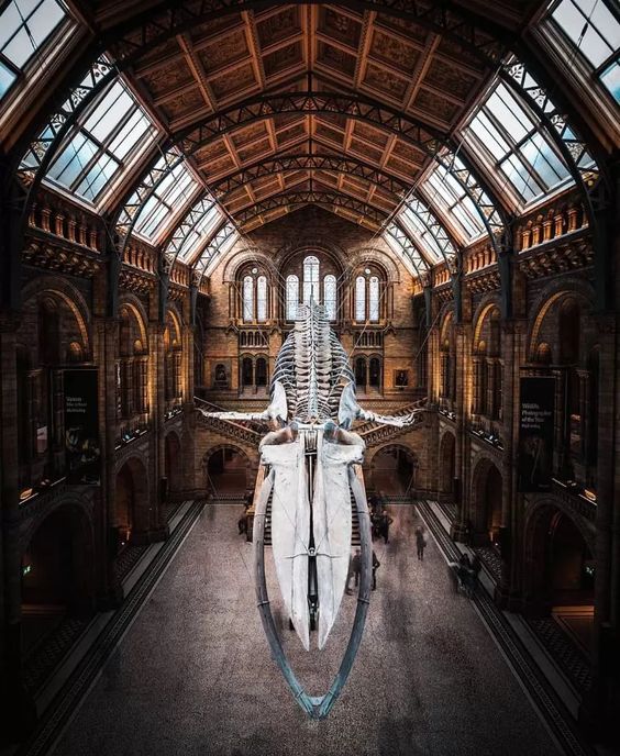 موزه-ملی-انگلستان