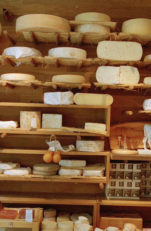 داستان-ایجاد-پنیر-هلندی